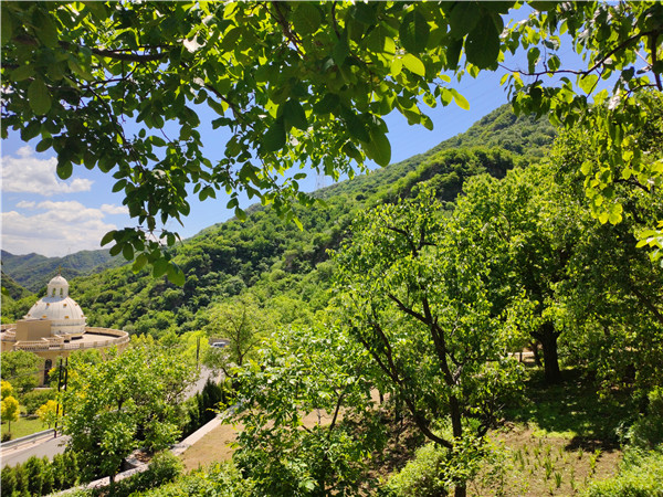 九公山长城纪念林环境