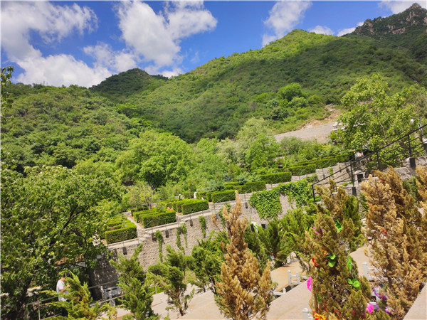 九公山长城纪念林环境