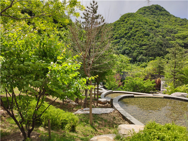 九公山长城纪念林环境