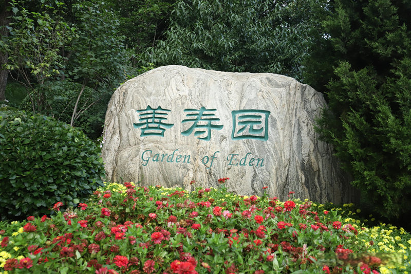 九公山长城纪念林环境