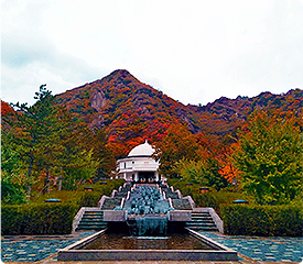 九公山纪念林——回归自然的安息之地