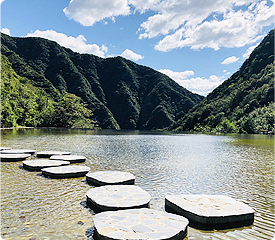 九公山长城纪念林墓地价格行情！