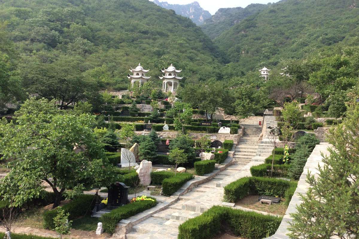 九公山纪念林——多样追思方式：树葬有哪些形式可供选择