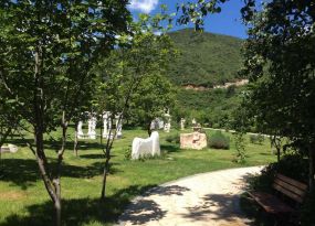 九公山纪念林，环境清幽秀丽，人文氛围浓厚