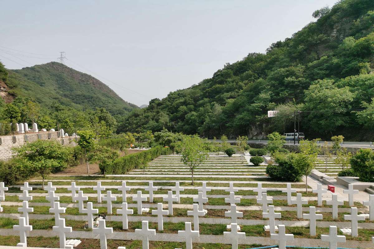 【九公山纪念林 】枕山而眠、依林而息，达到天人合一的理想境界