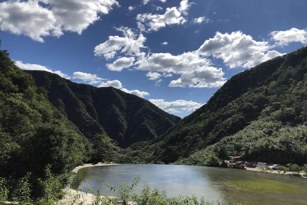 九公山纪念林树葬：开启新的绿色时代！