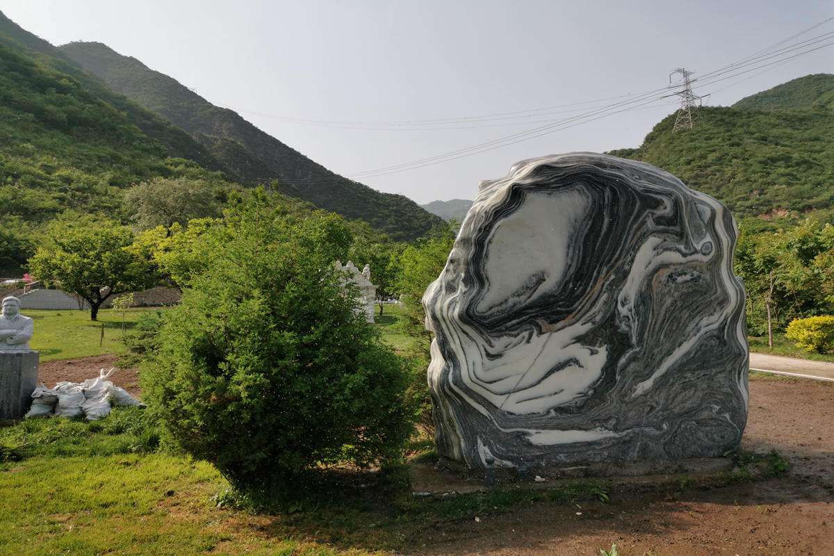 九公山纪念林树葬陵园：推动环保事业，传递爱与关怀！