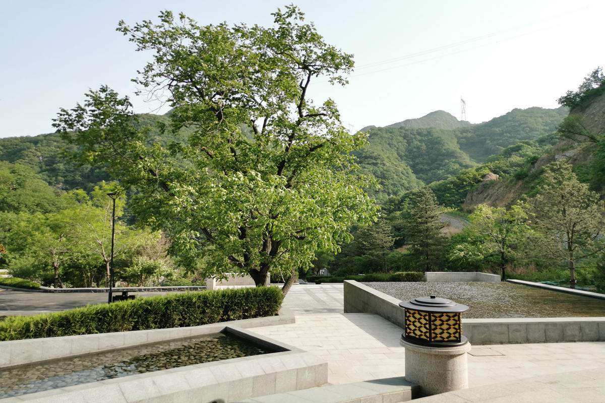 九公山纪念林，设施更全面，祭奠更方便