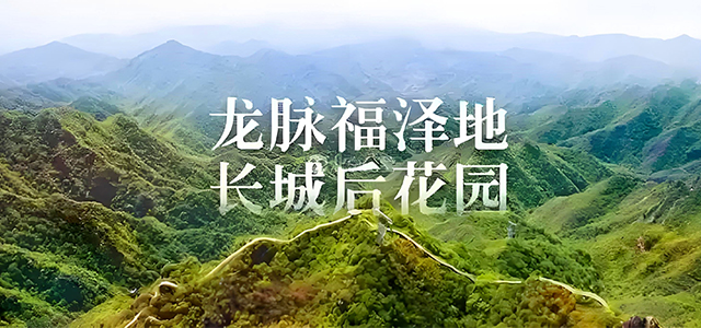 探秘九公山长城纪念林，感受生命与自然的交融