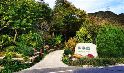 北京墓地陵园选购指南