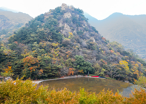 探寻京城生态墓园之美