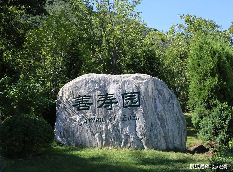 探秘九公山陵园：墓型多样，安放永恒思念