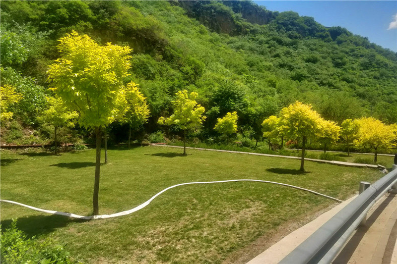 九公山长城纪念林价格多少钱？九公山长城纪念林树葬墓碑介绍及价格？