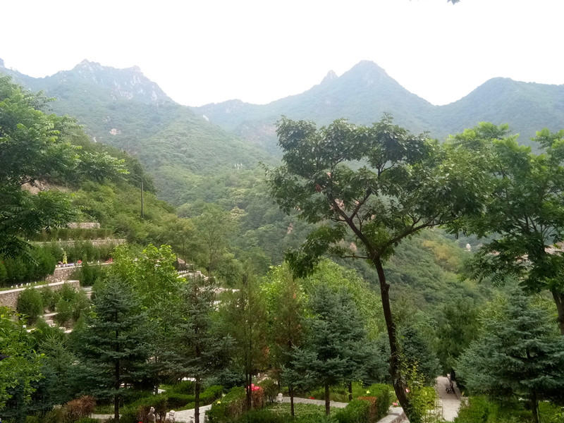 怀柔生态树葬墓地,与大自然共融的永恒安息之地