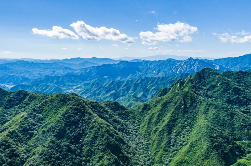 美景
