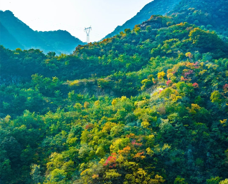 陵园环境