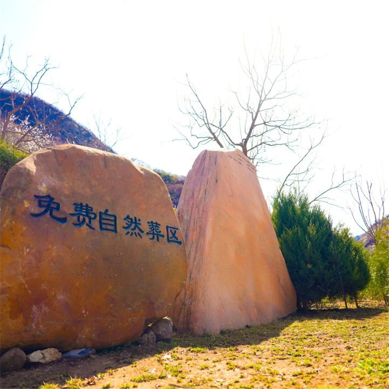 生态区