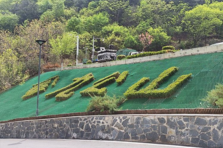 京城北麓的生命诗行 | 九公山长城纪念林：让思念在山水间永恒生长